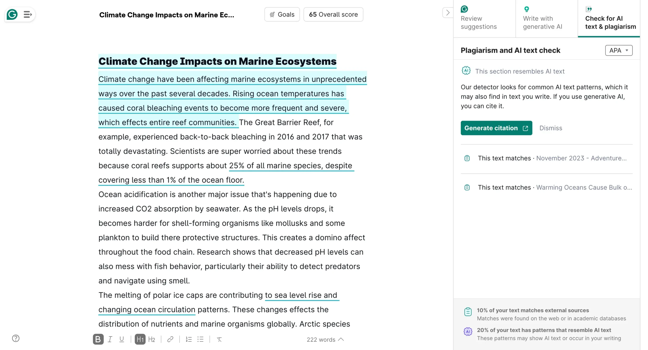 Grammarly's plagiarism checker