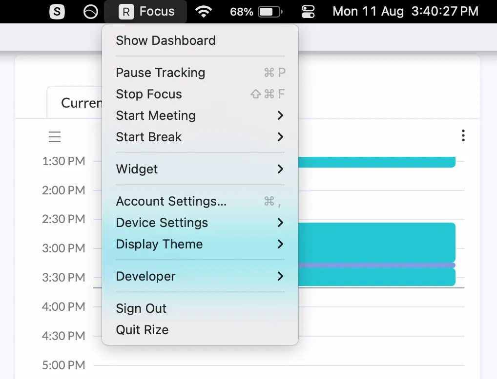 Rize widget in detail