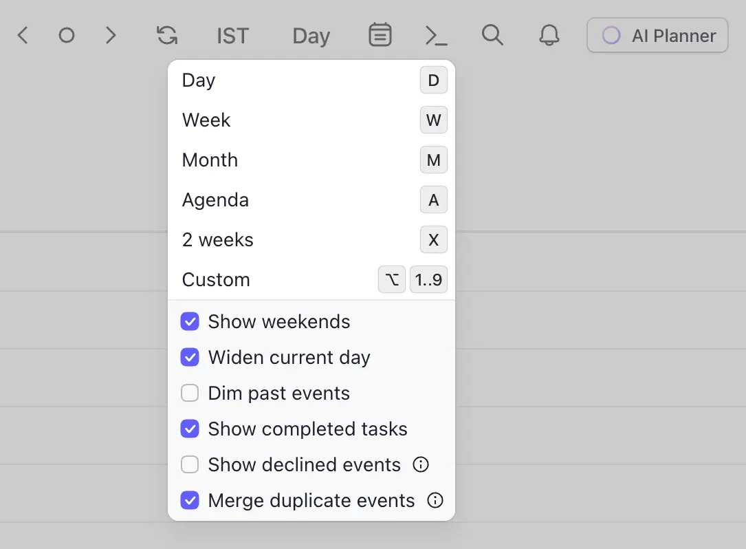 Calendar View options in Morgen